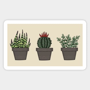 Cactus Magnet